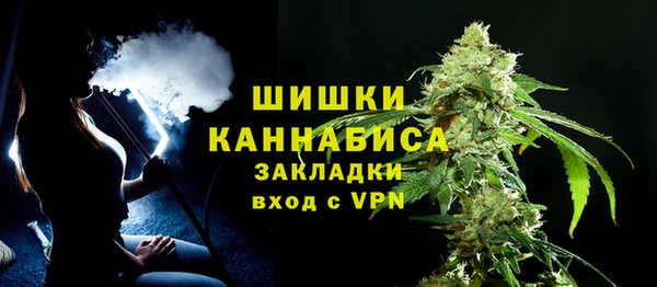 прущие крисы Белокуриха
