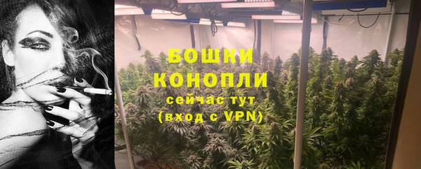 прущие крисы Белокуриха