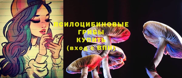 трава Балахна