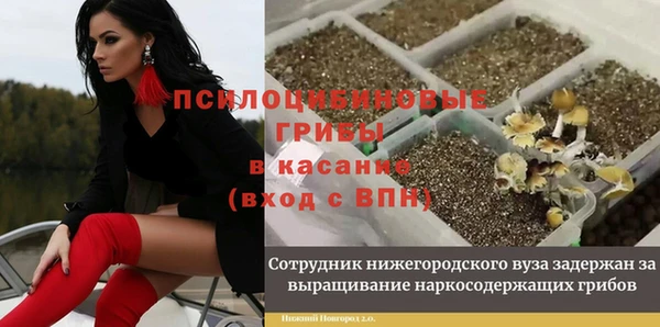 прущие крисы Белокуриха
