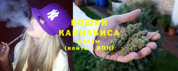 прущие крисы Белокуриха